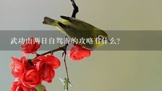 武功山两日自驾游的攻略有什么？