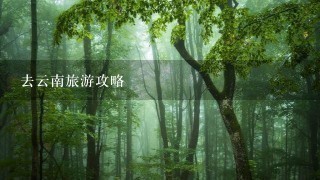 去云南旅游攻略