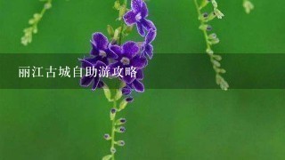 丽江古城自助游攻略