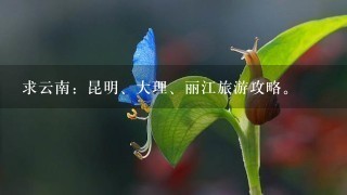 求云南：昆明、大理、丽江旅游攻略。