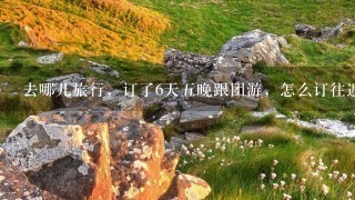 去哪儿旅行，订了6天五晚跟团游，怎么订往返机票。