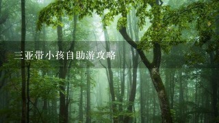 三亚带小孩自助游攻略