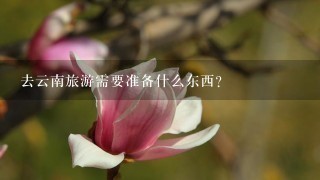 去云南旅游需要准备什么东西？