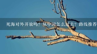 死海对外开放吗？从中国怎么过去？路线推荐一下？