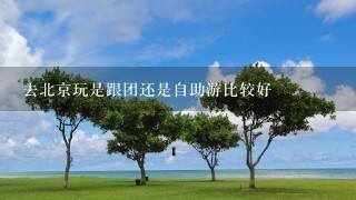 去北京玩是跟团还是自助游比较好