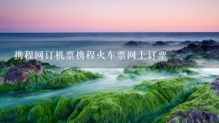 携程网订机票携程火车票网上订票