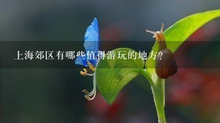 上海郊区有哪些值得游玩的地方？