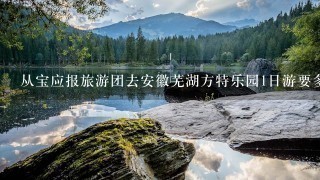 从宝应报旅游团去安徽芜湖方特乐园1日游要多少钱？