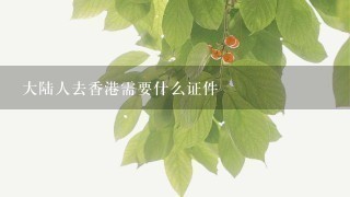 大陆人去香港需要什么证件