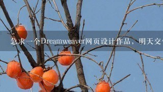 急求一个Dreamweaver网页设计作品，明天交作业：旅游网站