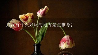 武汉有什么好玩的地方景点推荐？