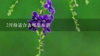 2月份适合去哪里旅游