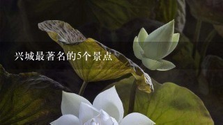 兴城最著名的5个景点