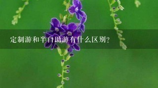 定制游和半自助游有什么区别？