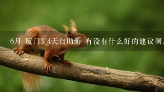 6月 厦门3~4天自助游 有没有什么好的建议啊，比如旅游攻略什么的。