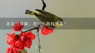 北京三日游，有什么路线推荐？