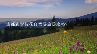 成都到攀枝花自驾游旅游攻略？