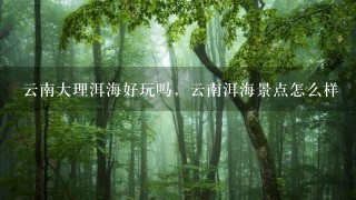 云南大理洱海好玩吗，云南洱海景点怎么样