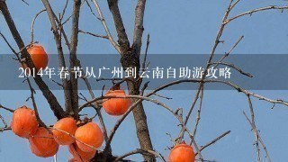 2014年春节从广州到云南自助游攻略