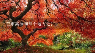 芒市离缅甸那个地方近？