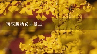 西双版纳必去景点