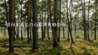 请问东北长白山旅游攻略指南