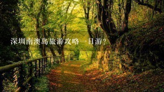 深圳南澳岛旅游攻略一日游？