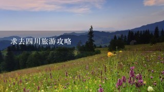 求去四川旅游攻略