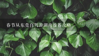 春节从东莞自驾游湖南推荐攻略