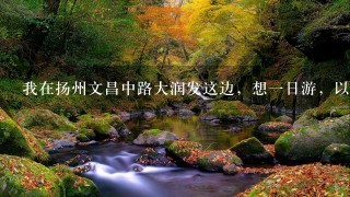 我在扬州文昌中路大润发这边，想一日游，以下有4条线路，想求教以大润发为起点的一日游最优公交走法