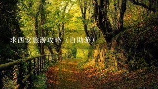 求西安旅游攻略（自助游）