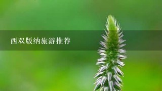 西双版纳旅游推荐