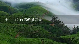 十一山东自驾游推荐表