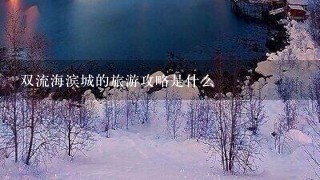 双流海滨城的旅游攻略是什么