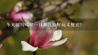 冬天银川哪里一日游比较好玩又便宜？