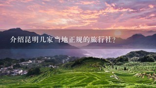 介绍昆明几家当地正规的旅行社？