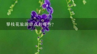 攀枝花旅游景点有哪些？