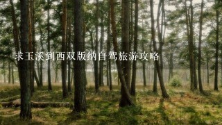 求玉溪到西双版纳自驾旅游攻略