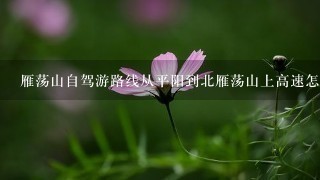 雁荡山自驾游路线从平阳到北雁荡山上高速怎么走