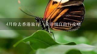 4月份去香港旅行，求详细自由行攻略