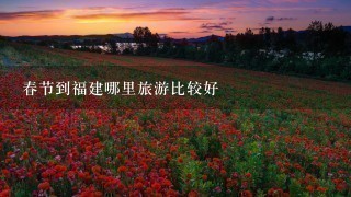 春节到福建哪里旅游比较好