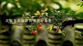 北京冬天旅游有哪些好去处？