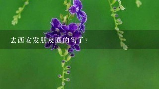 去西安发朋友圈的句子？