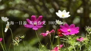 上海一日游 英语作文 100字