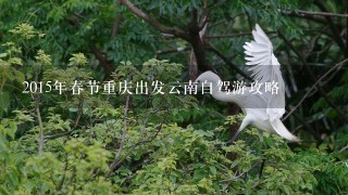 2015年春节重庆出发云南自驾游攻略