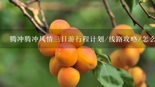 腾冲腾冲风情三日游行程计划/线路攻略/怎么玩法