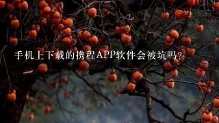 手机上下载的携程APP软件会被坑吗？