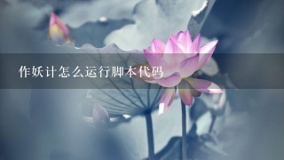 作妖计怎么运行脚本代码