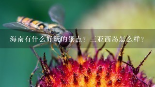 海南有什么好玩的景点？三亚西岛怎么样？