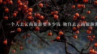 一个人去云南旅游要多少钱 独自去云南旅游需要带什么